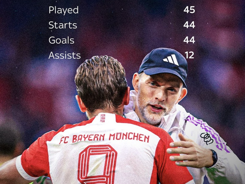 淄博市在本 淄博市在本