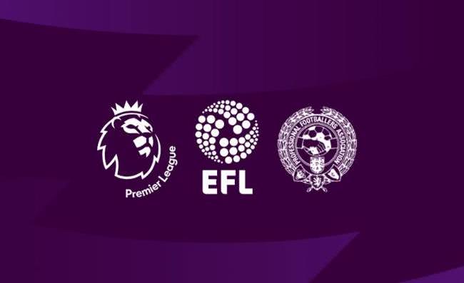 适配搜索引 适配搜索引