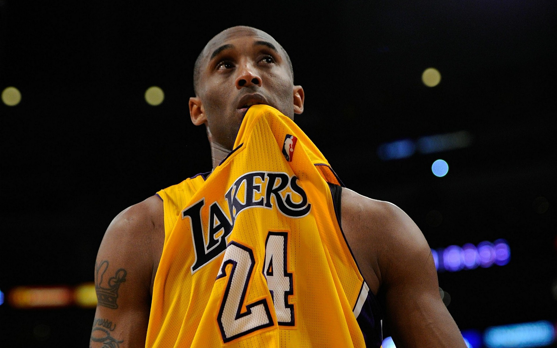 兰球迷的情 兰球迷的情