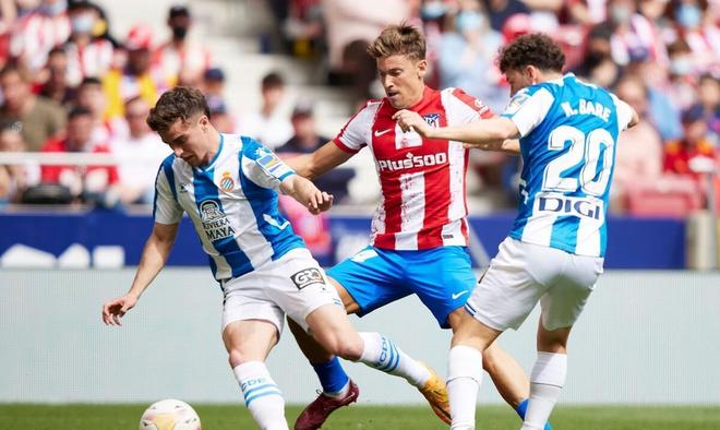 换帅的代价 换帅的代价